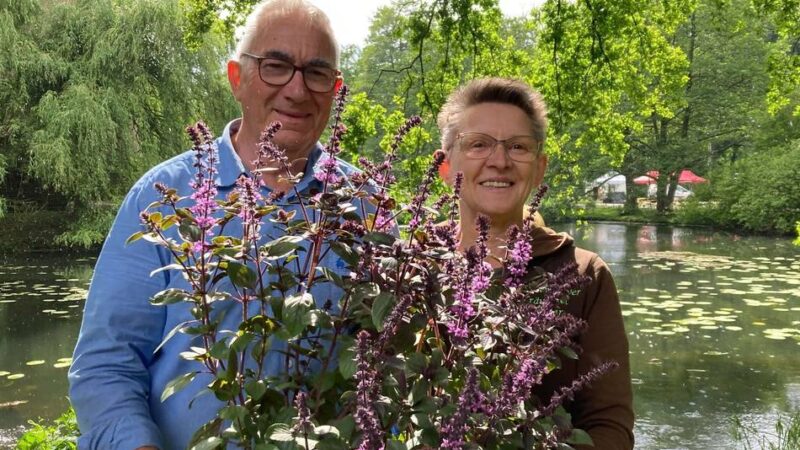 Gastro, Pflanzen und Deko: Das erwartet Besucher bei der „Gartenleben“ in Schloss Moyland