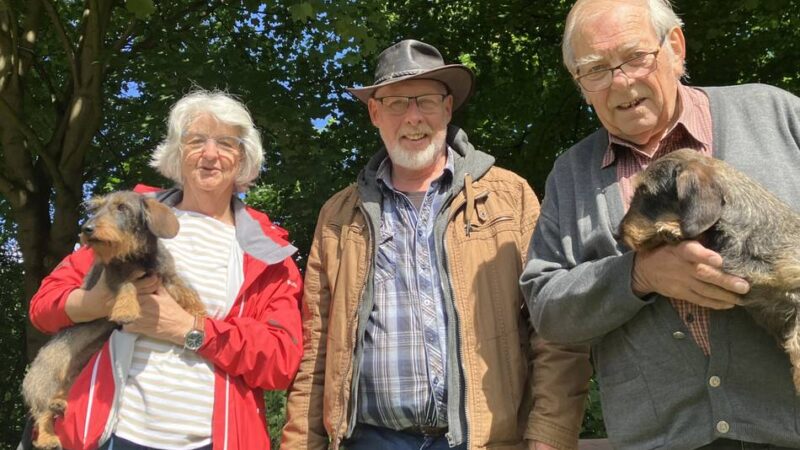 Verein in Dinslaken: „Die Leute sind ganz wild auf Dackel“