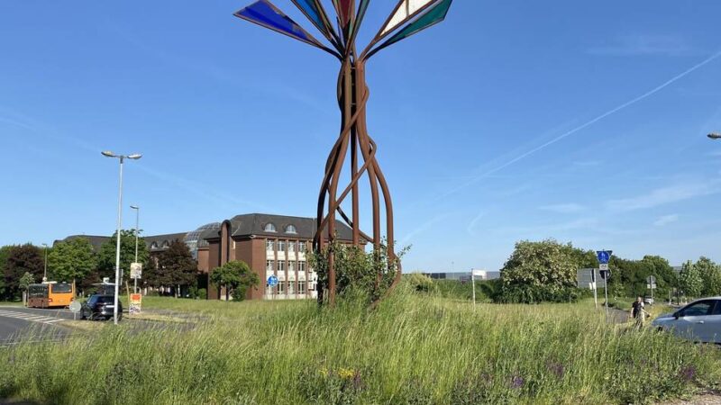 Grünflächenpflege in Rheinberg: Schrittmacher für Artenvielfalt am Straßenrand