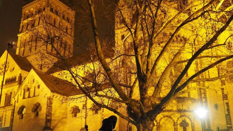 Konzert im Neusser Quirinusmünster: Neusser Kammerorchester in Höchstform
