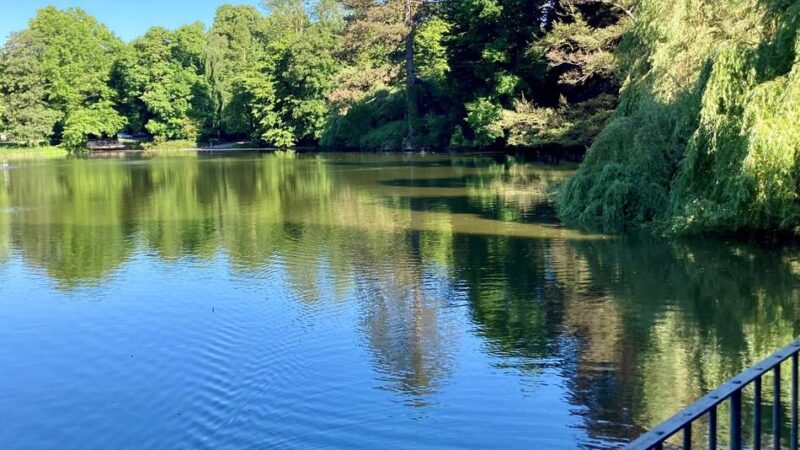 Korrespondenzprojekt zur Landesgartenschau Neuss: Rettungsaktion für die Weiher im Stadtgarten