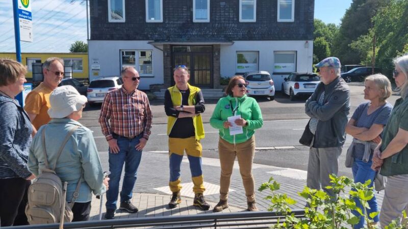 Bergische Wanderwoche in Hückeswagen: Grüne Rundwanderung zum Baum des Jahres