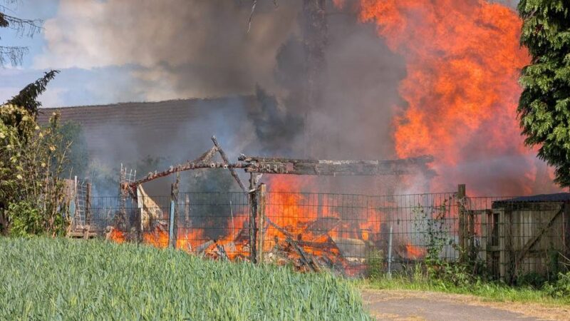 Feuerwehr Erkelenz: Feuer in Kaulhausen greift auf drei Gärten über