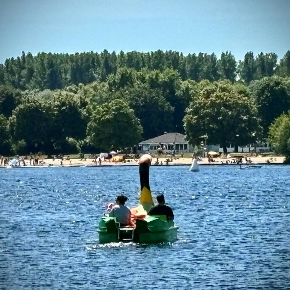 Erholung in Düsseldorf: Ein Leitbild für den Unterbacher See