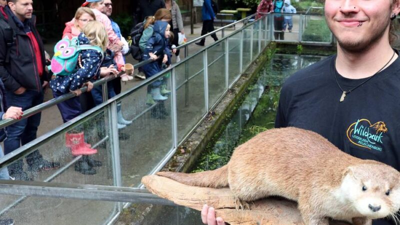Wildpark Reuschenberg: Regen vermiest das Kinderfest