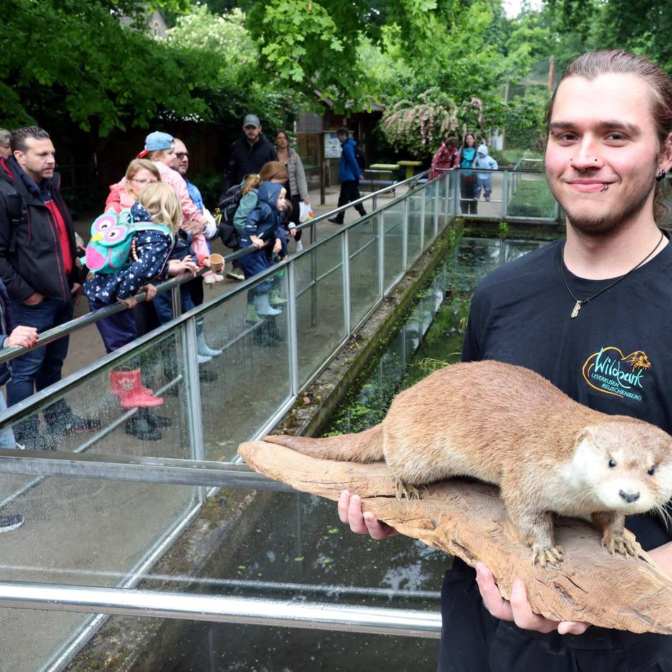 Wildpark Reuschenberg: Regen vermiest das Kinderfest