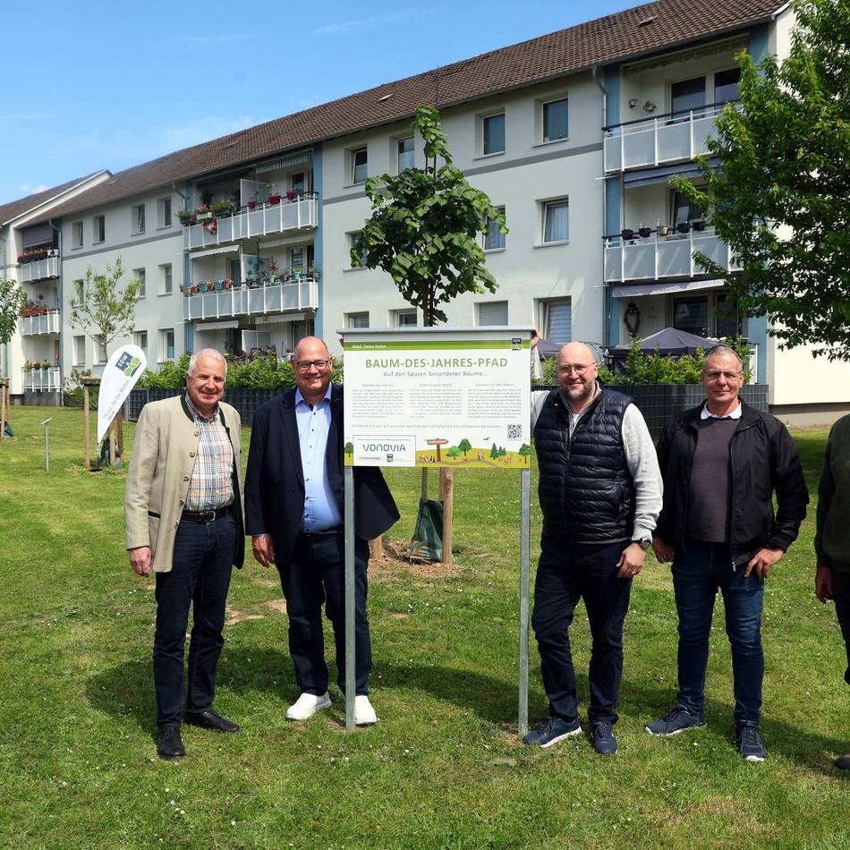 Stadtbegrünung in Leverkusen: „Baum-des-Jahres-Pfad“ im vollen Grün