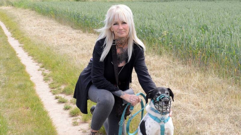 Neusserin betreut Tierheim-Hund: Die Spaziergängerin