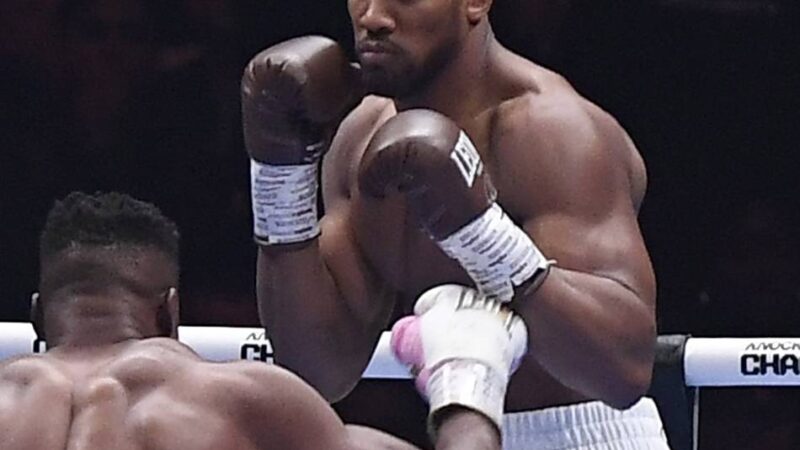 K.o.-Sieg in zweiter Runde: Ex-Weltmeister Joshua empfiehlt sich für erneuten Box-Titelkampf