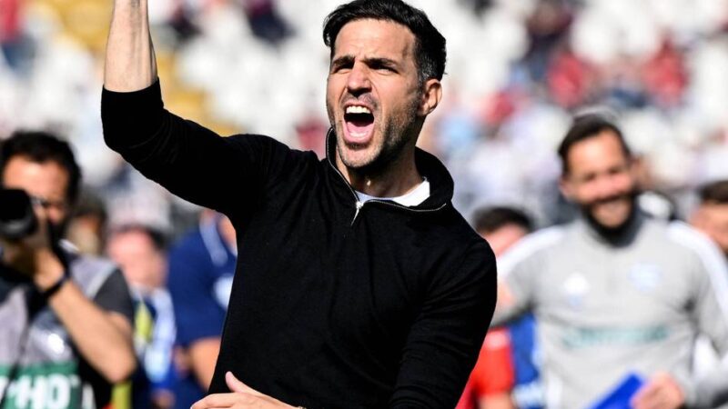 Bayer auf Trainersuche: Warum alles für Cesc Fàbregas spricht