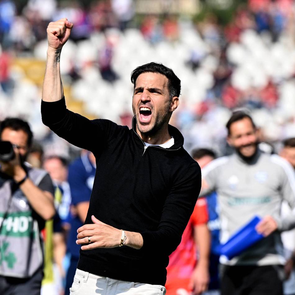 Bayer auf Trainersuche: Warum alles für Cesc Fàbregas spricht