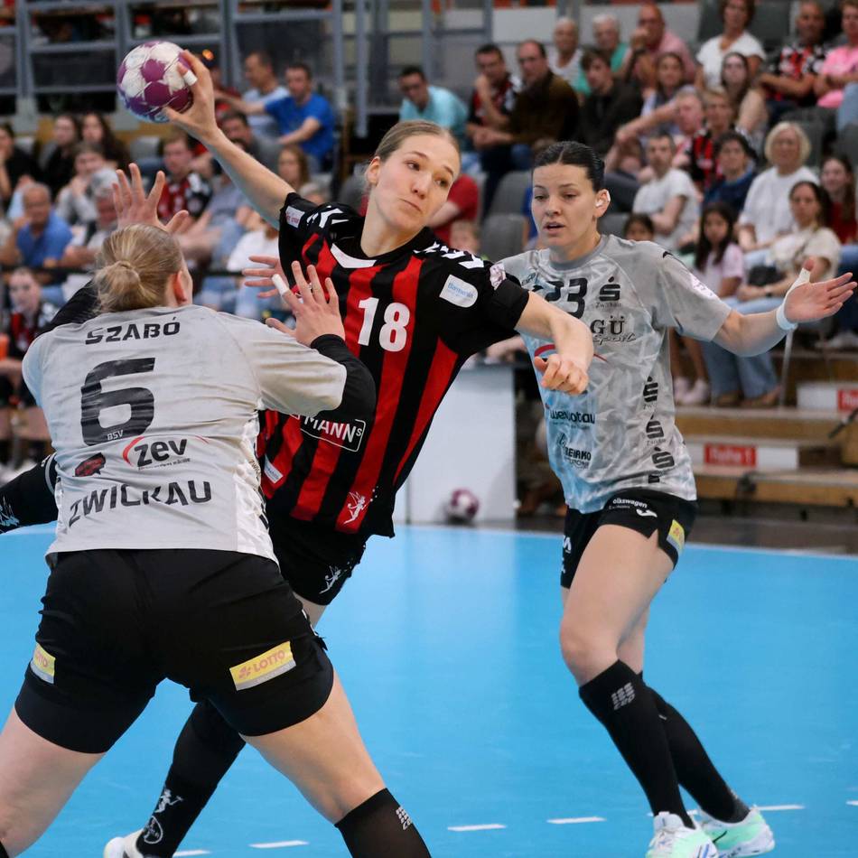 Erster Heimsieg: Elfen erzwingen ein drittes Spiel in Zwickau