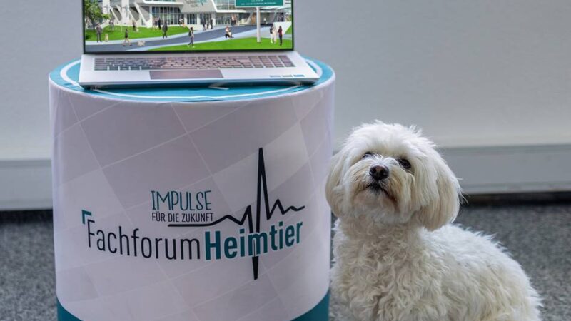 Hückeswagener Agentur mit Neuigkeiten zur Heimtierbranche: Haustier-Trendbarometer zeigt wirtschaftlichen Wandel