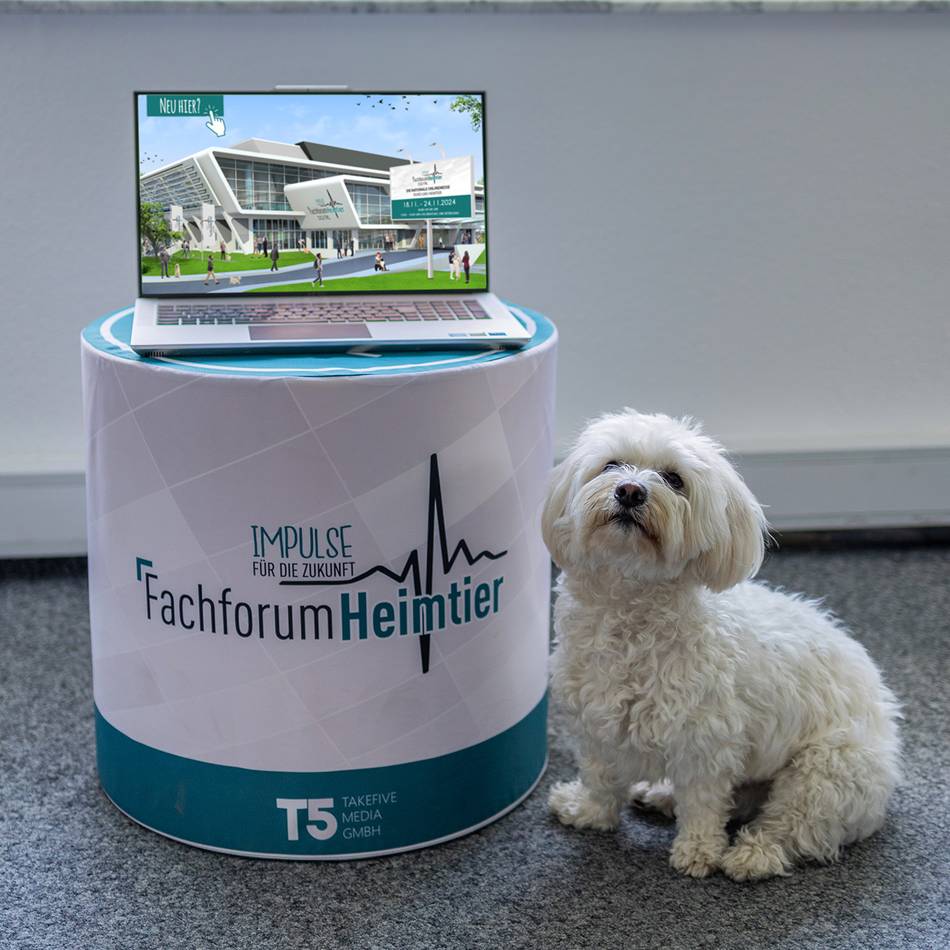 Hückeswagener Agentur mit Neuigkeiten zur Heimtierbranche: Haustier-Trendbarometer zeigt wirtschaftlichen Wandel