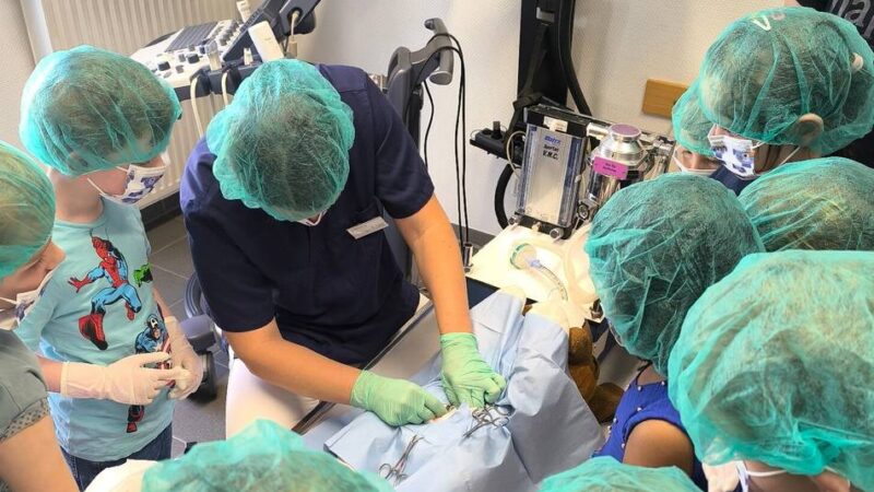 Kinder üben in Neusser Tierarzt-Praxis: Wenn ein Stofftier auf dem OP-Tisch liegt