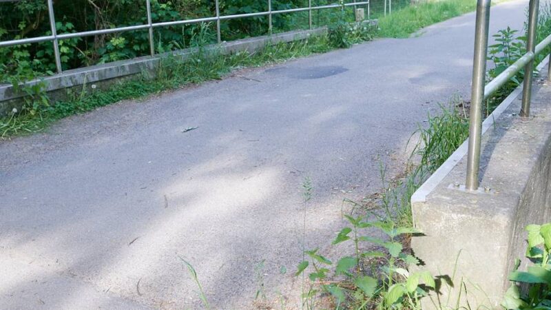 Durchflussrohr statt Brückenneubau in Dormagen: Brücke über den Norfbach wird abgerissen