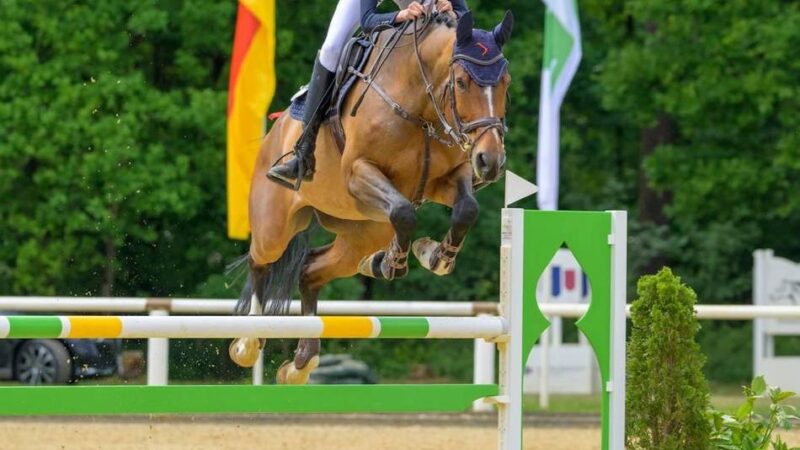 Großer Erfolg für 14-jährige Springreiterin: Johanna Hell holt Silber in Warendorf – und wird in Nationenpreis-Kader berufen