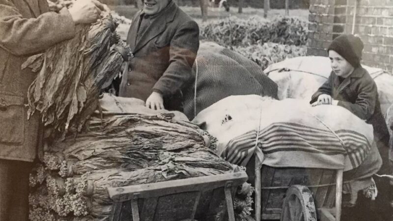 Neue Ausstellung: Tabakanbau und Heimarbeit – wovon die Wisseler einst lebten