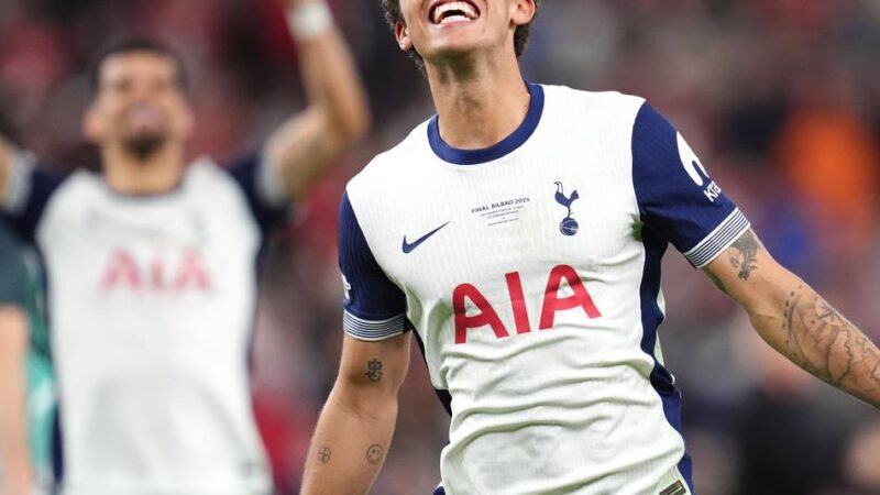 Finale in Bilbao: Pressestimmen zum Europa-League-Sieg von Tottenham