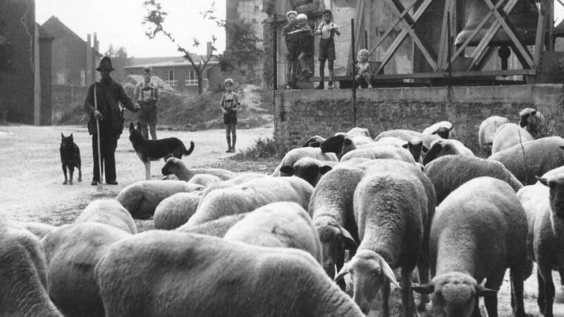 Nach dem Kriegsende: So lief der Wiederaufbau von Erkelenz