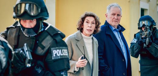 »Tatort« heute aus Wien: »Wir sind nicht zu fassen!« im Schnellcheck