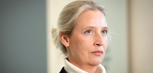AfD: Alice Weidel erstattet Hunderte Anzeigen wegen Beleidigung im Netz