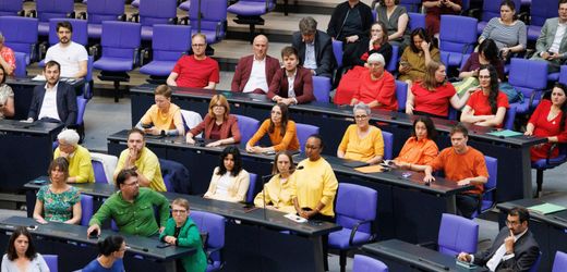 Diversität: Grüne und Linke bilden Regenbogen im Bundestag