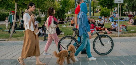 Iran: Behörden verbieten Spazierengehen mit Hunden