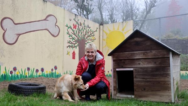 Kein neuer Vorstand für Verein: Aus für Velberter Tierheim?