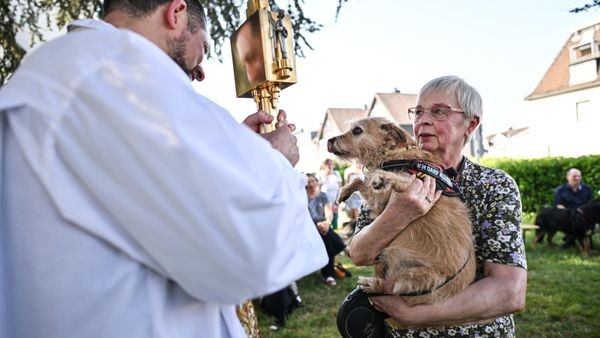 „Gesegnet seiest du, Frieda“: Da wird auch ein Terrier sanft