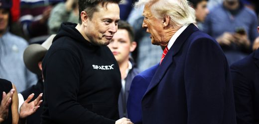 Donald Trump und Elon Musk: »Beide stecken in einer Art tödlichen Umarmung« – Interview