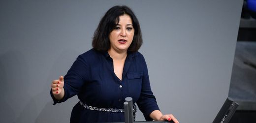 Bundestag: Immunität von Gökay Akbulut Ingo Hahn aufgehoben