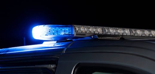 Sindelfingen: 46-Jähriger nach Leichenfund im Wald festgenommen