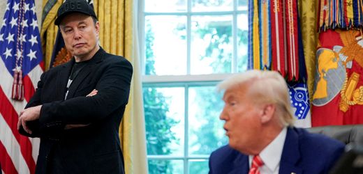 Elon Musk: Tesla-Chef telefonierte mit Donald Trump – vor seinem Reue-Tweet