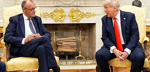 Friedrich Merz bei Donald Trump: Diese Aussagen des US-Präsidenten waren falsch