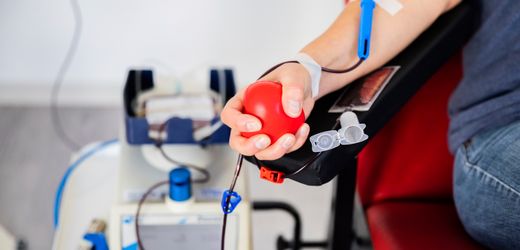 Das Deutsche Rote Kreuz zeichnet Blutspender in Wiesbaden aus