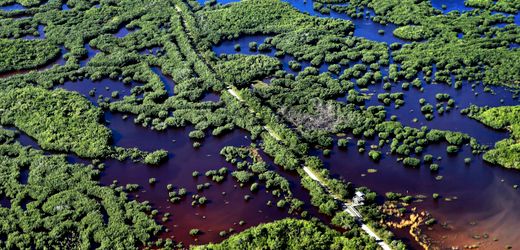 Florida: »Alligator Alcatraz« soll Migranten auf Insel in Sumpflandschaft internieren