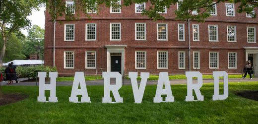 Harvard vs. Donald Trump: Gericht verhindert erneut Einreisebann für ausländische Studierende