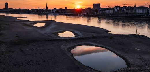 Trockenheit in Deutschland: Warum das Land mehr Schwämme braucht
