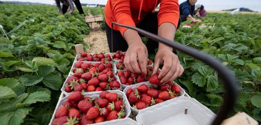 Mindestlohn: Zwei Drittel befürworten Erhöhung auf 15 Euro