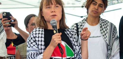 Greta Thunberg: Protestboot »Freedom Flotilla« erreicht Ägypten