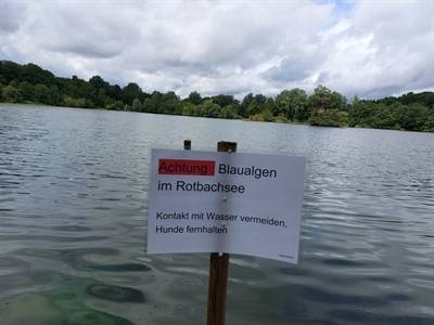 Verdacht auf Blaualgen: Stadt Dinslaken sperrt den Rotbachsee