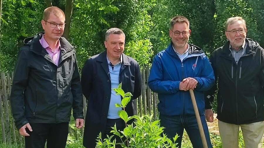 Städtepartnerschaft mit Grefrath und Frévent: Bürgermeister pflanzen Freundschaftsbaum in Gerbstedt
