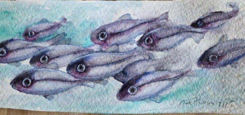 Stadtbücherei Radevormwald: Meereswelten in Aquarell-Gouache-Mischtechnik gestalten
