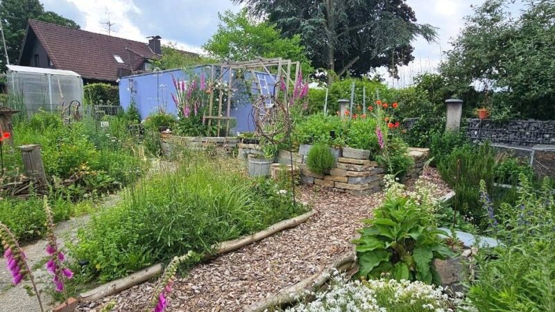 Kaarsterin öffnet „Hortus Multiplex“: „Ein Naturgarten ist ständig im Wandel“