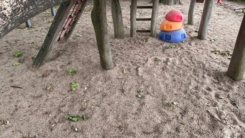 Kita St. Mariä Himmelfahrt in Rheinberg: Stadt will bei Krähen-Plage helfen