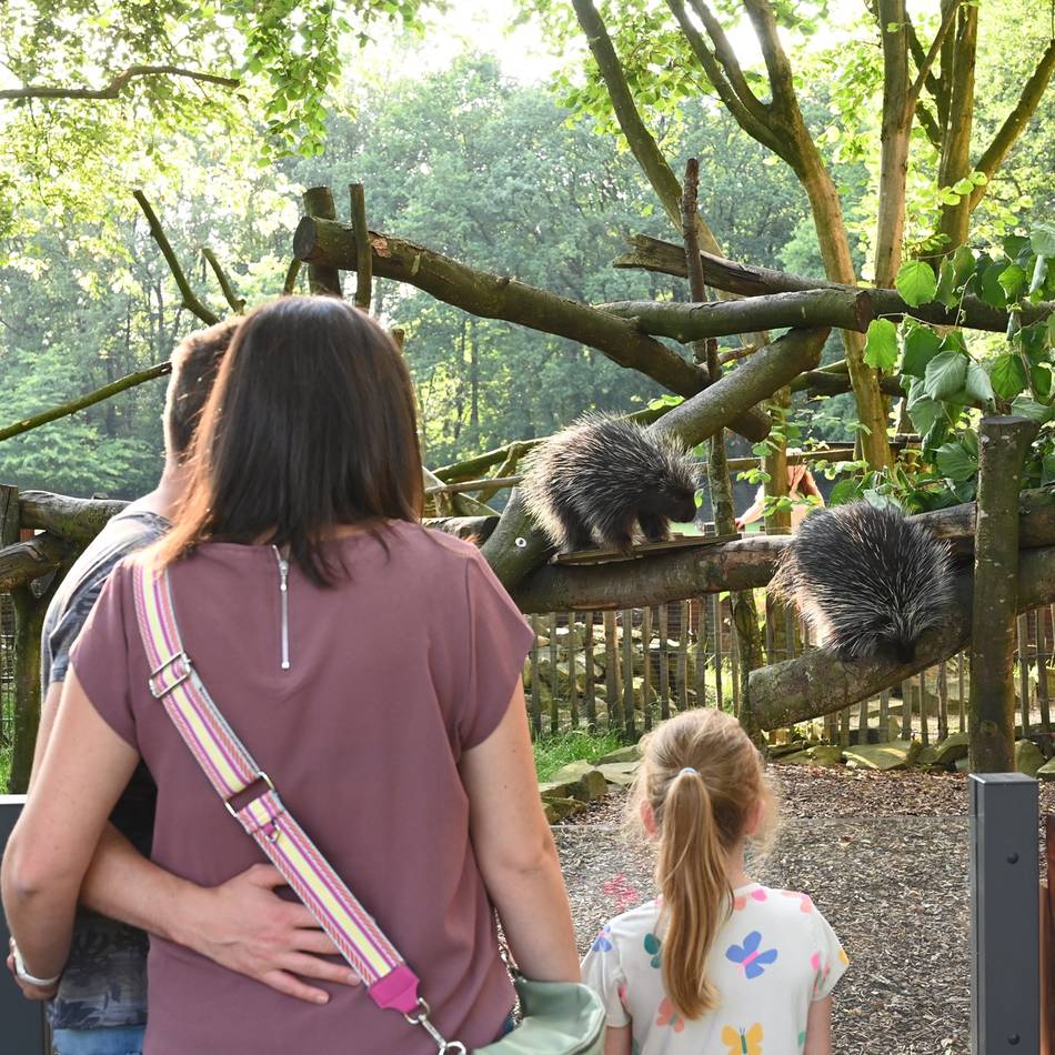 Für Artenschutz, Bildung und Forschung: „Bestätigt, dass wir auf dem richtigen Weg sind“ – Auszeichnung für Klever Zoo