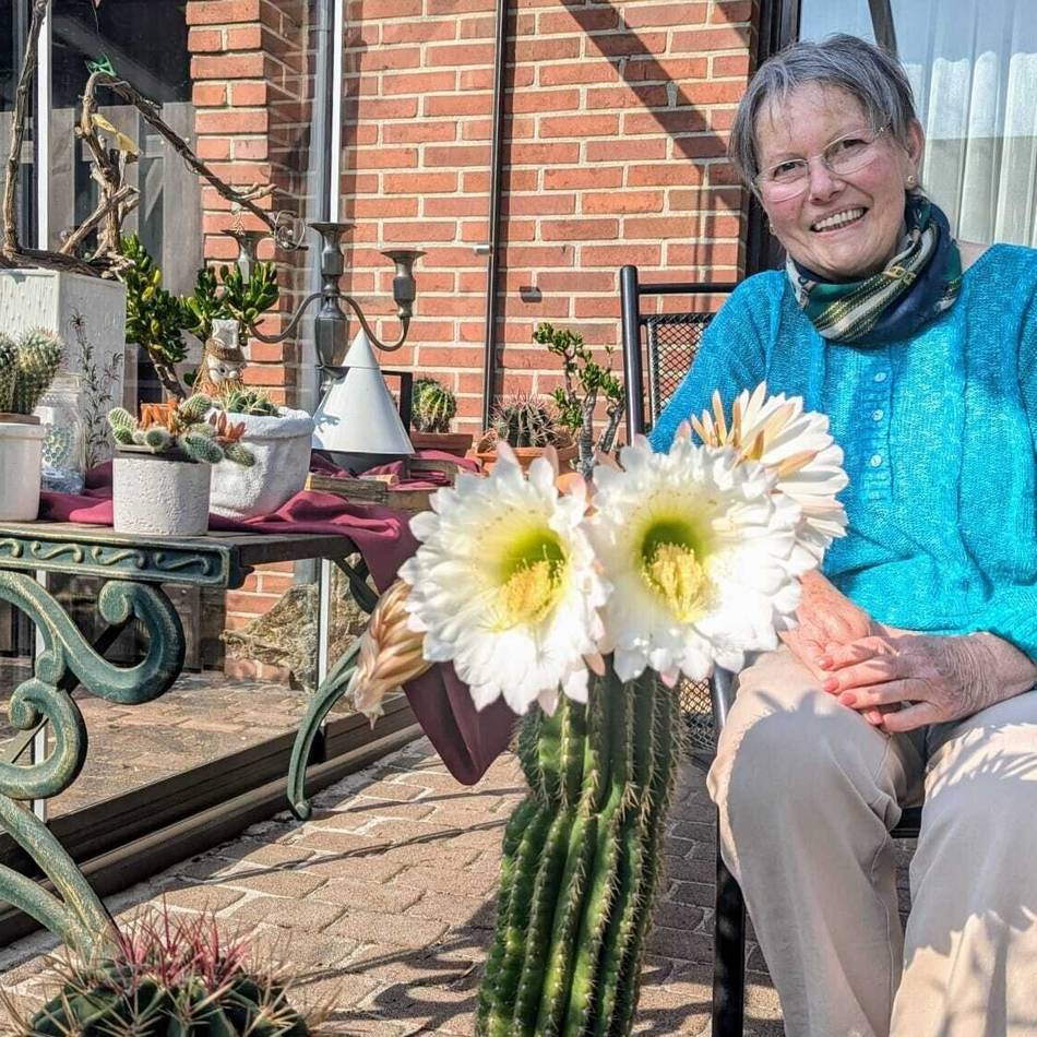 Margret Compans aus Kaldenkirchen ist leidenschaftliche Kakteensammlerin: Nach 28 Jahren hat ihr Kaktus zum ersten Mal geblüht