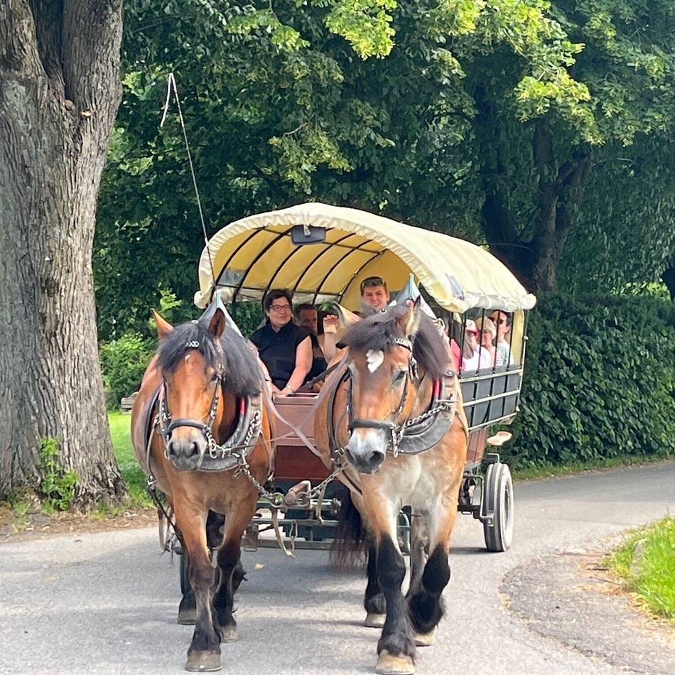 Islandpferde in Radevormwald: Lebenshilfe-Bewohner erleben schönen Tag auf Ponyhof