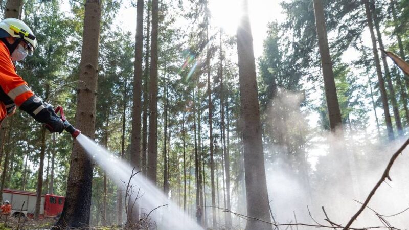 Graslandfeuerindex zeigt’s: In diesen NRW-Städten ist jetzt die Waldbrandgefahr besonders hoch
